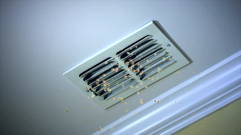 Best HVAC Duct Inspection Services  in Olmsted Falls, OH